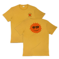Solar Power